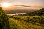 Kipferl Austrian Autumn Wine Tasting Dinner 29th of October 2025 Start 19:00