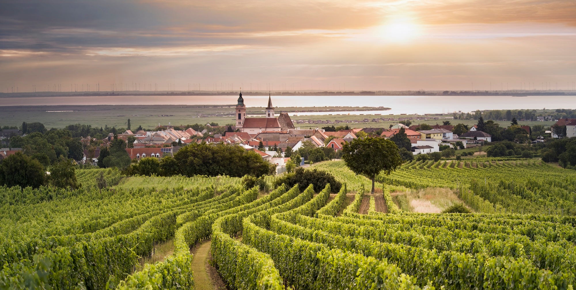 Kipferl Austrian Wine Tasting Dinner 23rd of July  2025 Start 19:00