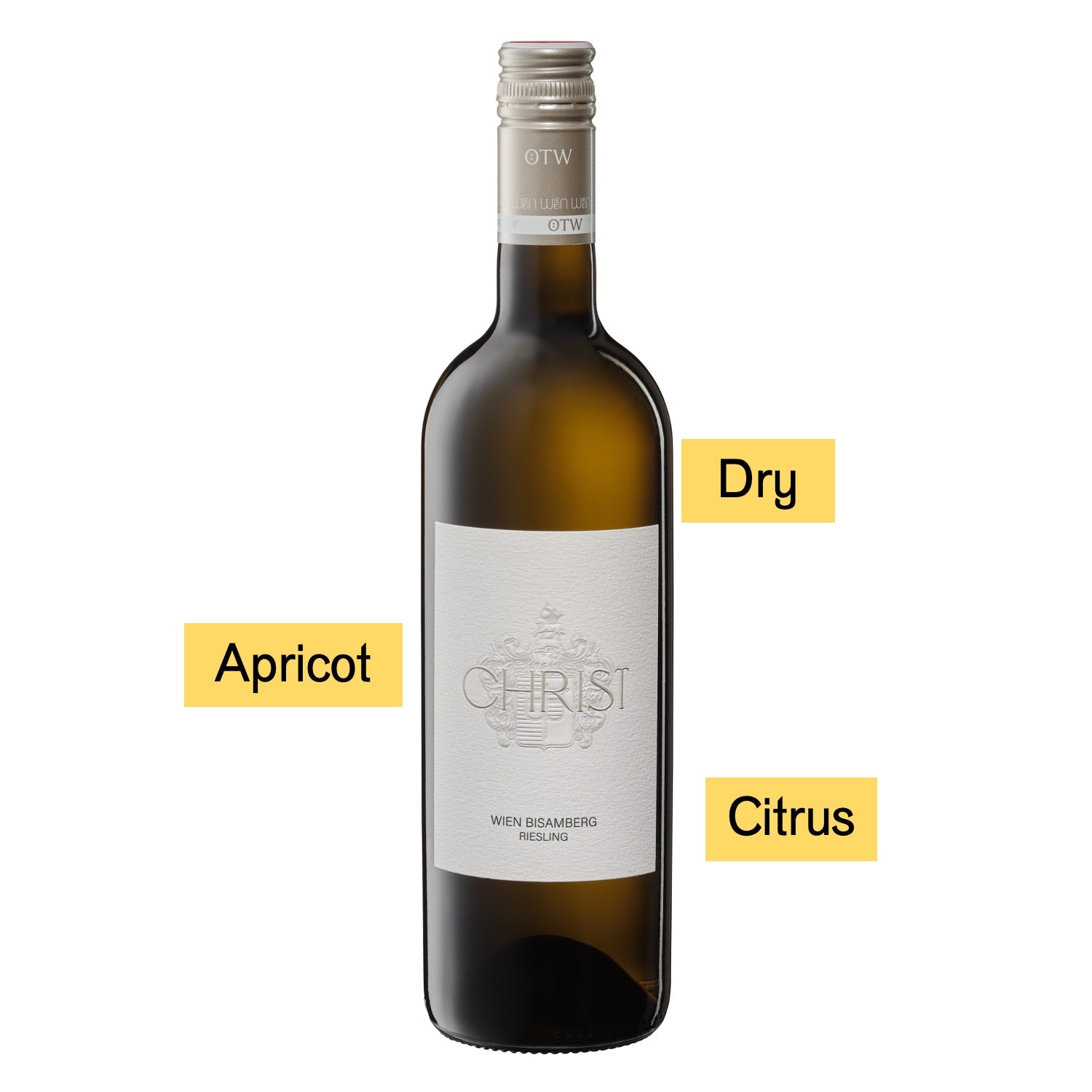 Riesling_Bisamberg_2025_ALT.jpg